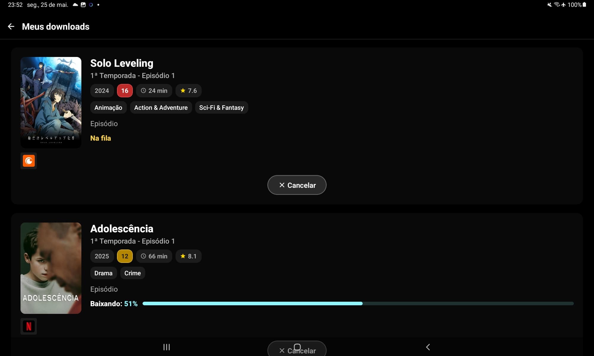 Tela do app Loopr com lista de downloads e progresso